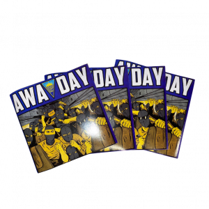 GD Estoril Praia - Modelo 4