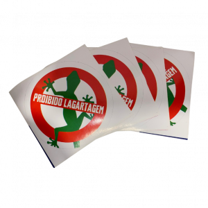 SL Benfica - Modelo 21